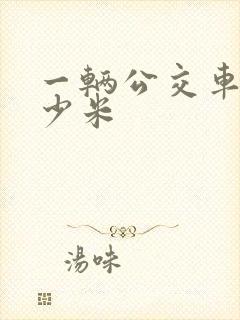 一辆公交车长多少米