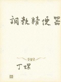 调教精便器