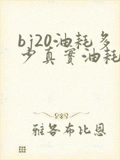 bj20油耗多少真实油耗 bj20油耗多少真实油耗