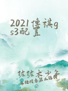 2021传祺gs3配置