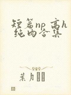 短篇np 高h 纯肉合集