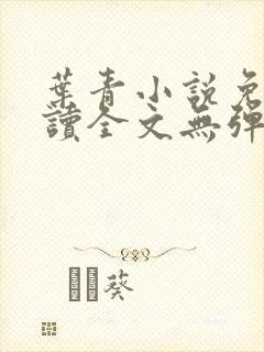 叶青小说免费阅读全文无弹窗