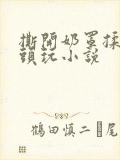 撕开奶罩揉吮奶头玩小说