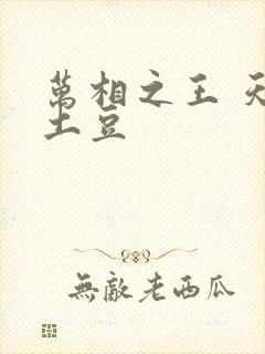 万相之王 天蚕土豆