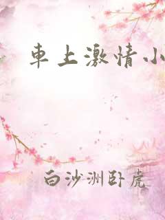 车上激情小说