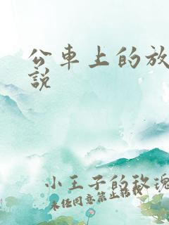 公车上的放荡小说