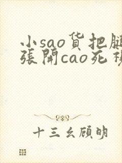 小sao货把腿张开cao死视频