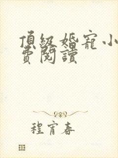 顶级婚宠小说免费阅读