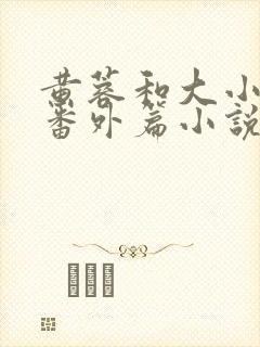黄蓉和大小武的番外篇小说