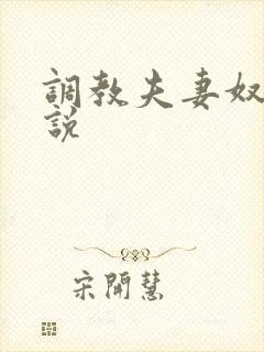 调教夫妻奴的小说