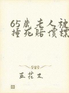 65岁老人被车撞死赔偿标准