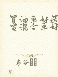 买油车好还是油电混合车好
