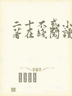 二十不惑小说原著在线阅读