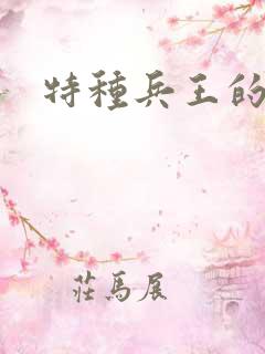 特种兵王的小说