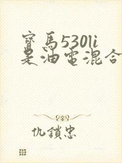 宝马530li是油电混合吗 宝马530li是油电混合吗