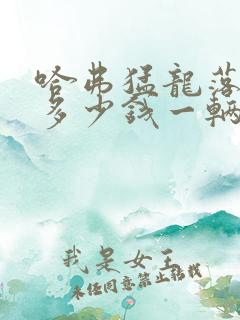 哈弗猛龙落地价多少钱一辆