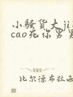 小骚货大ji巴cao死你男男小说