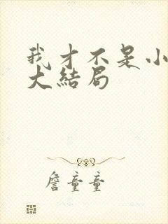 我才不是小可怜大结局