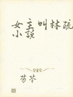 女主叫林疏月的小说