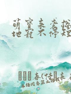 萌宝来袭总裁爹地宠不停短剧