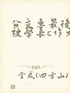 公交车最后一排被学长c作文