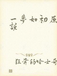 一梦如初原著小说