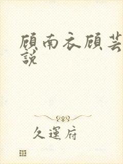 顾南衣顾芸沐小说