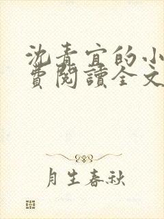 沈青宜的小说免费阅读全文 沈青宜的小说免费阅读全文