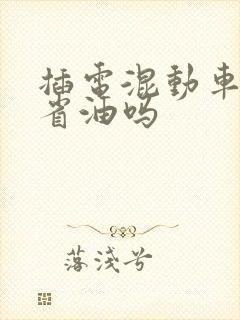 插电混动车高速省油吗