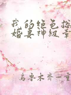 我的绝色总裁未婚妻神级章节