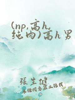 (np,高h,纯肉)高h男男 (np,高h,纯肉)高h男男