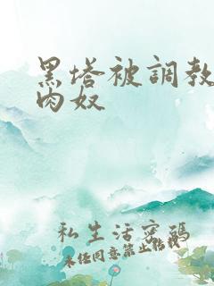 黑塔被调教成了肉奴