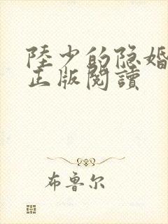 陆少的隐婚罪妻正版阅读