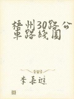 梧州30路公交车路线图 梧州30路公交车路线图