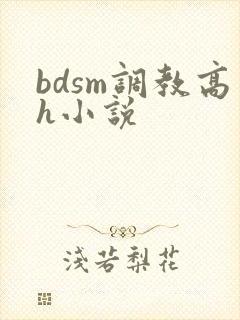 bdsm调教高h小说