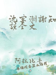 沈宴洲谢知意小说全文