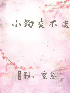 小狗爽不爽