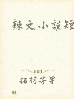 辣文小说短文