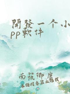 开发一个小说app软件