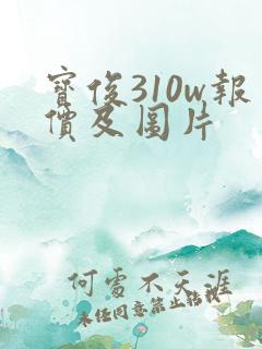 宝俊310w报价及图片
