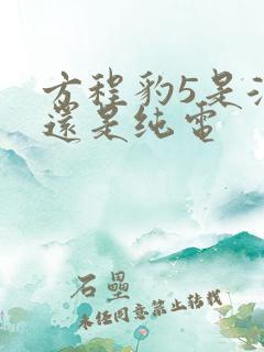 方程豹5是混动还是纯电