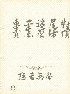 车子追尾对方全责怎么赔偿
