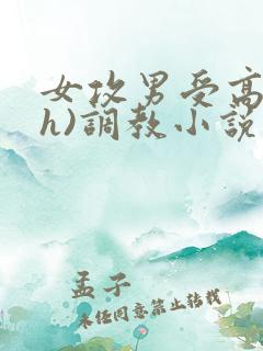 女攻男受高h(h)调教小说 女攻男受高h(h)调教小说
