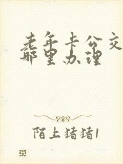 老年卡公交卡在哪里办理