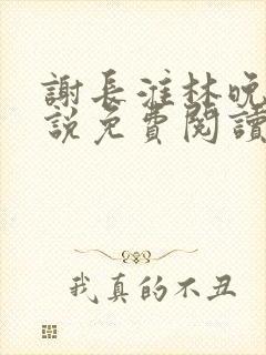 谢长淮林晚晴小说免费阅读