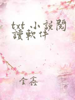 txt 小说阅读软件