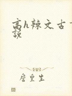 高h辣文古言小说