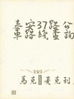 泰安37路公交车路线查询