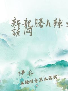 新龙腾h辣文小说网