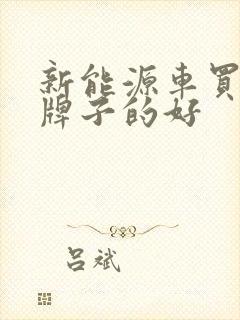 新能源车买哪个牌子的好